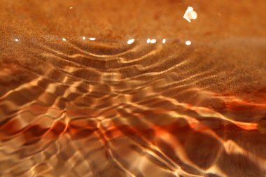 Su dalgaları gün ışığında