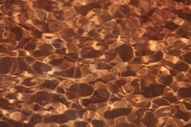 Su doku closeup çekim