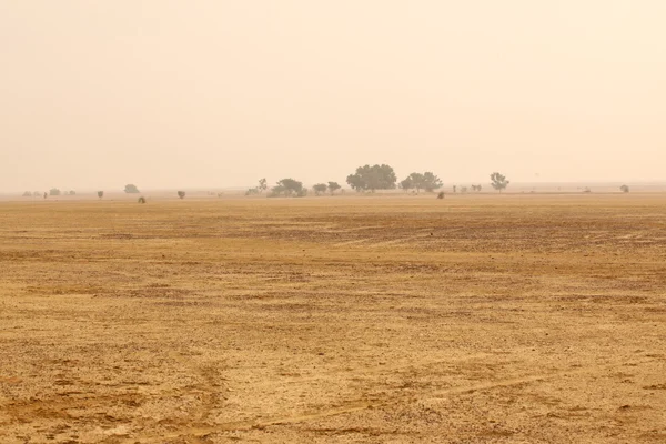 Paisaje del desierto en la India —  Fotos de Stock