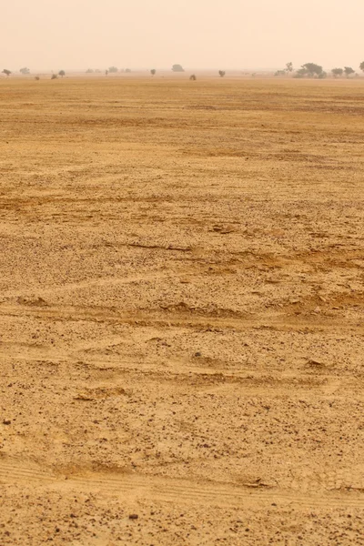 Paisaje del desierto en la India —  Fotos de Stock