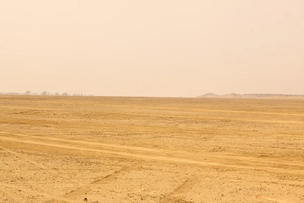 Paisaje del desierto en la India —  Fotos de Stock