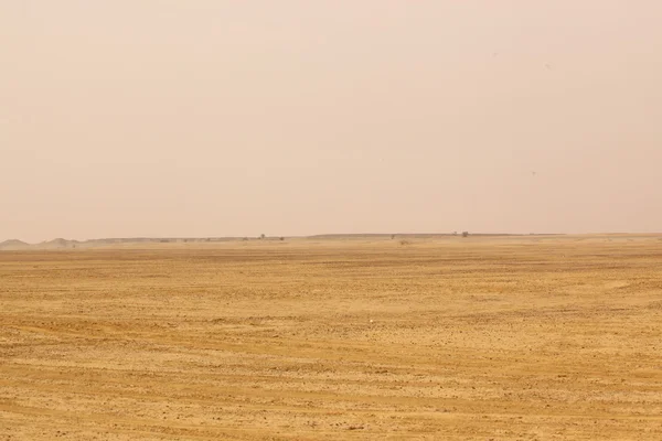 Paisaje del desierto en la India —  Fotos de Stock