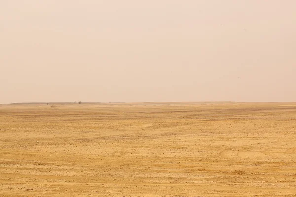 Paysage du désert en Inde — Photo