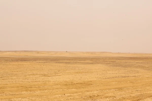 Paysage du désert en Inde — Photo