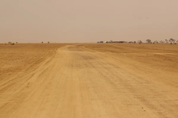 Paysage du désert en Inde — Photo