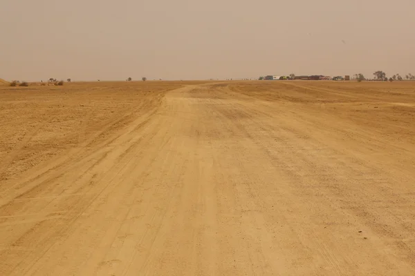 Paysage du désert en Inde — Photo