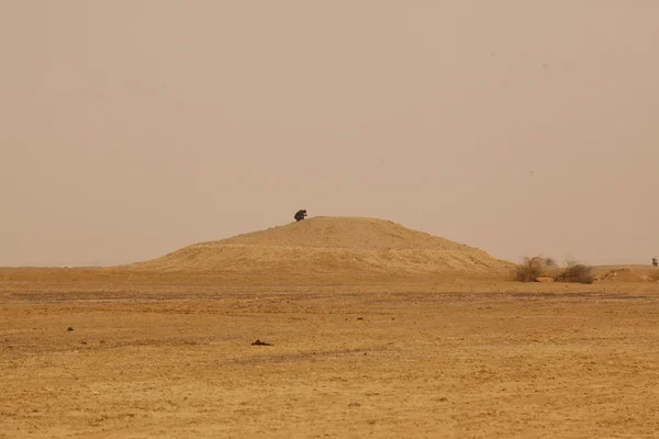 Paisaje del desierto en la India . —  Fotos de Stock