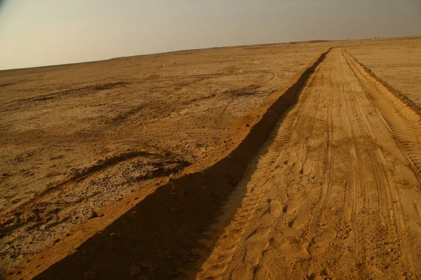 Paysage du désert au Rajasthan Inde — Photo