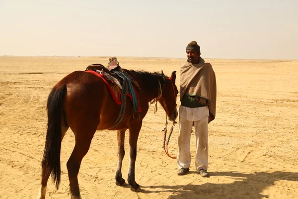 Homem com Cavalo no deserto — Fotografia de Stock