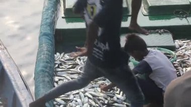 Kakinada Hindistan 'da bir teknede balık tutuyor.