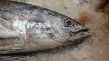 Kakinada Hindistan 'da bir teknede balık tutuyor.