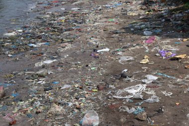 Hindistan sahilinde çöp.