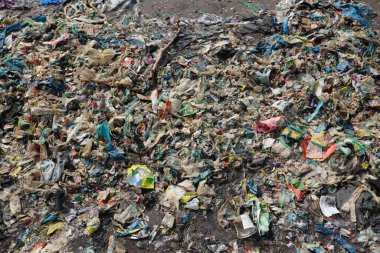 Hindistan sahilinde çöp.