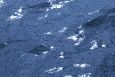 Okyanus Dalgaları Deniz Suyu Fırtınası Gece Ay ışığında