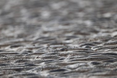 Kumsaldaki kum dokusu