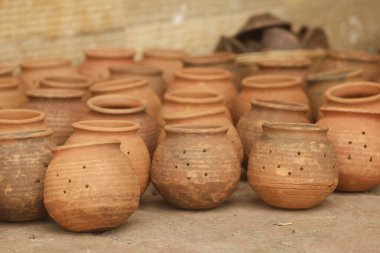 Hindistan Kırsal Evinde saksılar