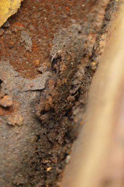 Hasarlı Eski Metal Doku Makro çekimi