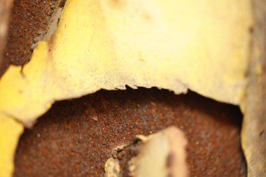 Hasarlı Eski Metal Doku Makro çekimi