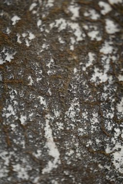 Vintage bir duvardaki eski boya dokusu