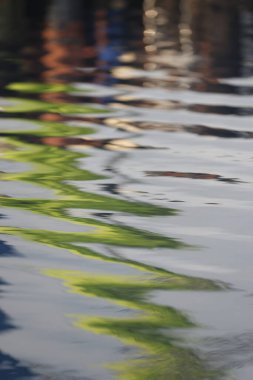 Sudaki Renkler Yansıması