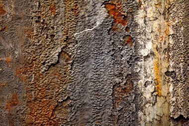 Rust Art Old Metal Texture Macro shot