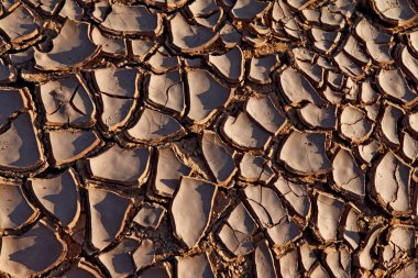 Tarlalarda Kuru Çamur dokusu