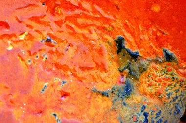 Çoklu Renkli Makro Görüntü Boyası