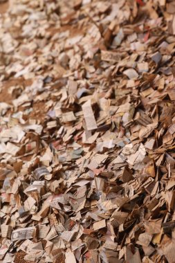 Dağınık gazete parçaları 1 Aralık 2025 'te Hyderabad Hindistan' da yatmaktadır.