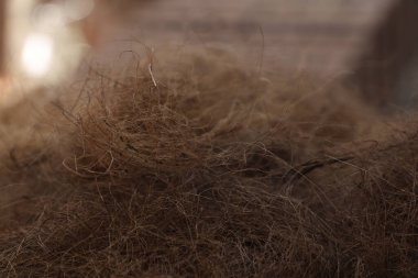 Kahverengi hindistan cevizi sütunu Macro shot