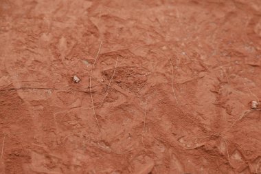 Suç mahallinde ayak izleri.