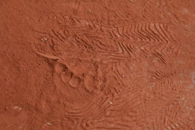 Suç mahallinde ayak izleri.