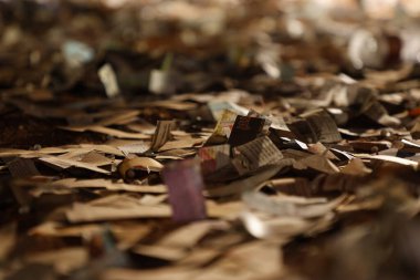 Dağınık gazete parçaları 1 Aralık 2025 'te Hyderabad Hindistan' da yatmaktadır.