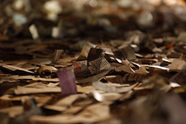 Dağınık gazete parçaları 1 Aralık 2025 'te Hyderabad Hindistan' da yatmaktadır.