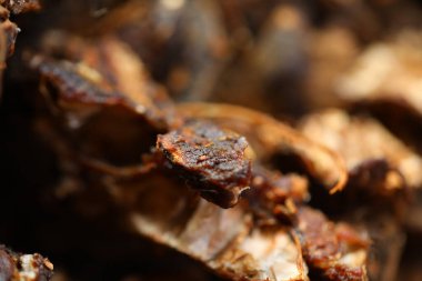 Yerel bir pazarda gösterilen ham kara demirhindi