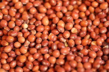 Toptan sergilenen çiğ organik kırmızı mercimek taneleri