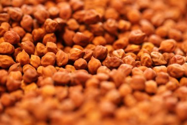 Ham kahverengi nohutlar topluca sergilenir