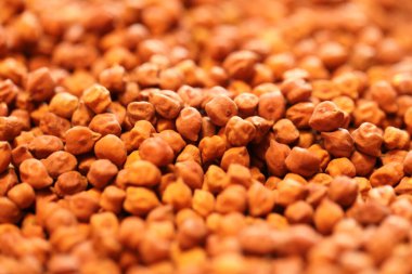 Ham kahverengi nohutlar topluca sergilenir