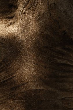 Doğal Ağaç Gövdesi Doku Makro Çekimi