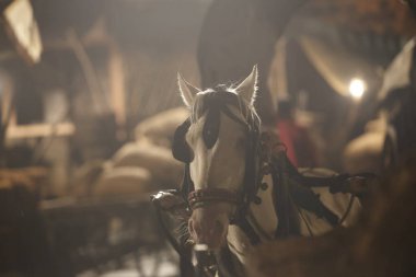 At Arabası Gece Hyderabad Hindistan 25 Aralık 2025