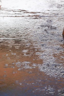 Yolda Yağmur Damlaları