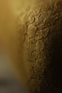 Hintli Yaşlı Adam Macro Vuruşu