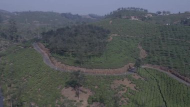 Tepedeki Katran Yolu 'nun havadan görünüşü