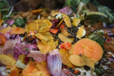 Meyve salatası yakın.