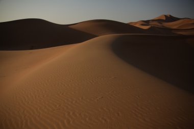 Dubai UAE Desert arazi scape