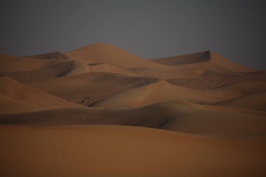 Dubai UAE Desert arazi scape