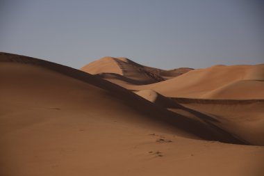 Dubai UAE Desert arazi scape