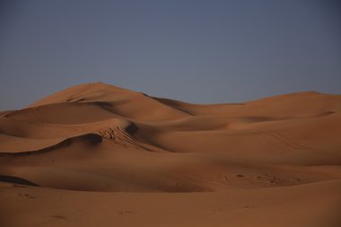 Dubai UAE Desert arazi scape