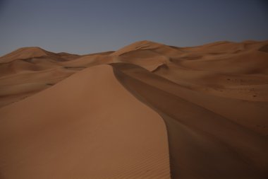 Dubai UAE Desert arazi scape