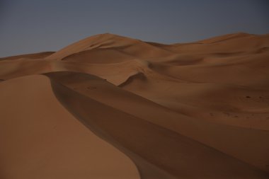 Dubai UAE Desert arazi scape