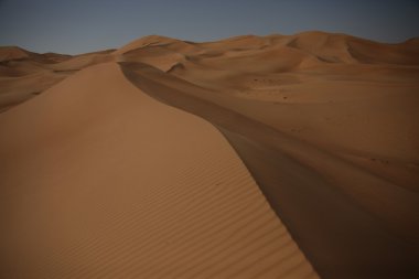 Dubai UAE Desert arazi scape